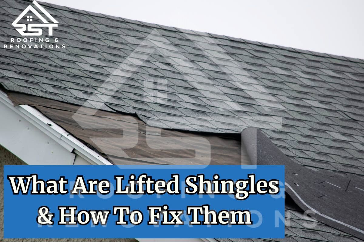 lifted shingles
