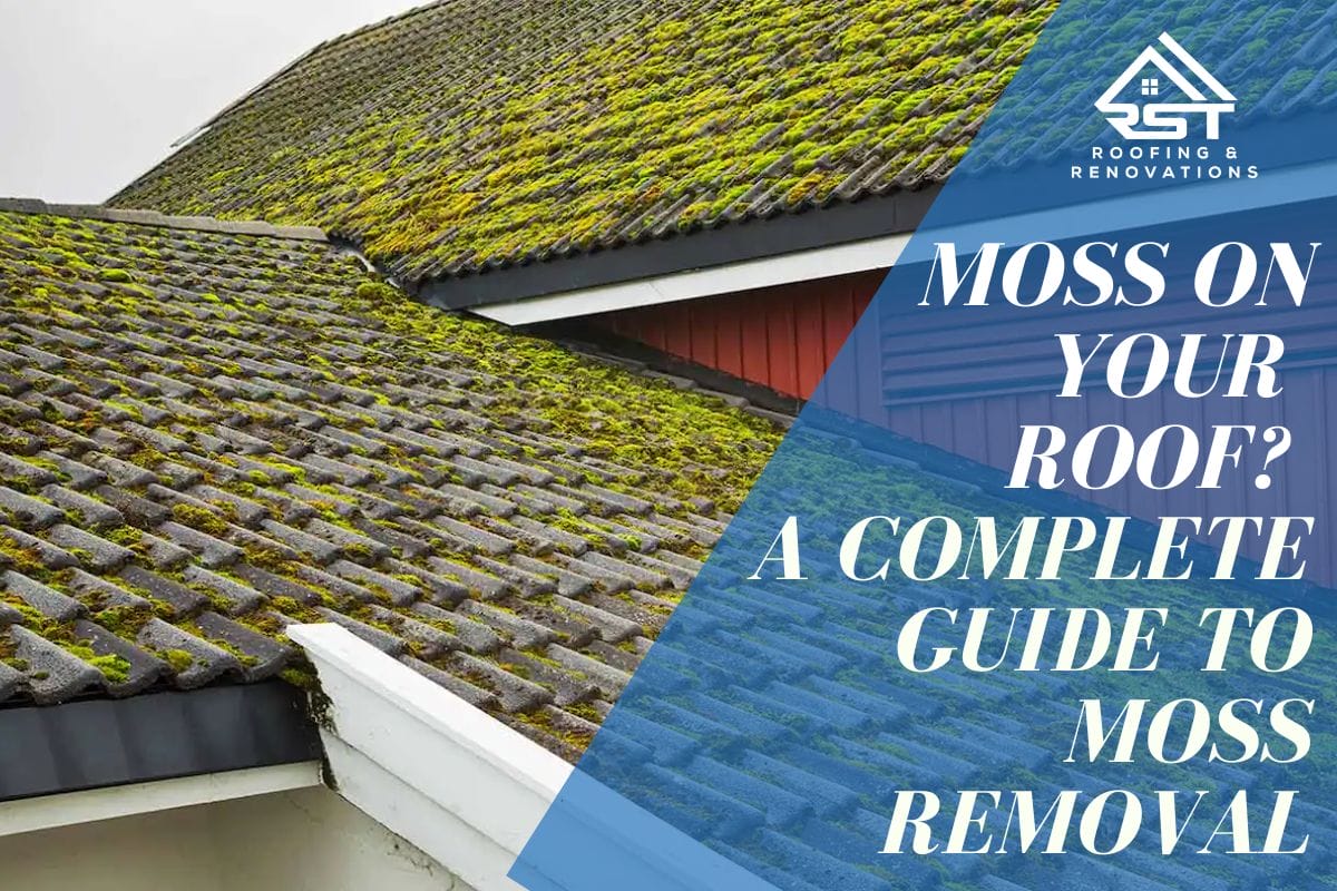 Moss On Your Roof? A Complete Guide To Moss Removal