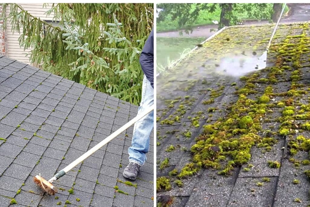 Removal of Moss from the Roof