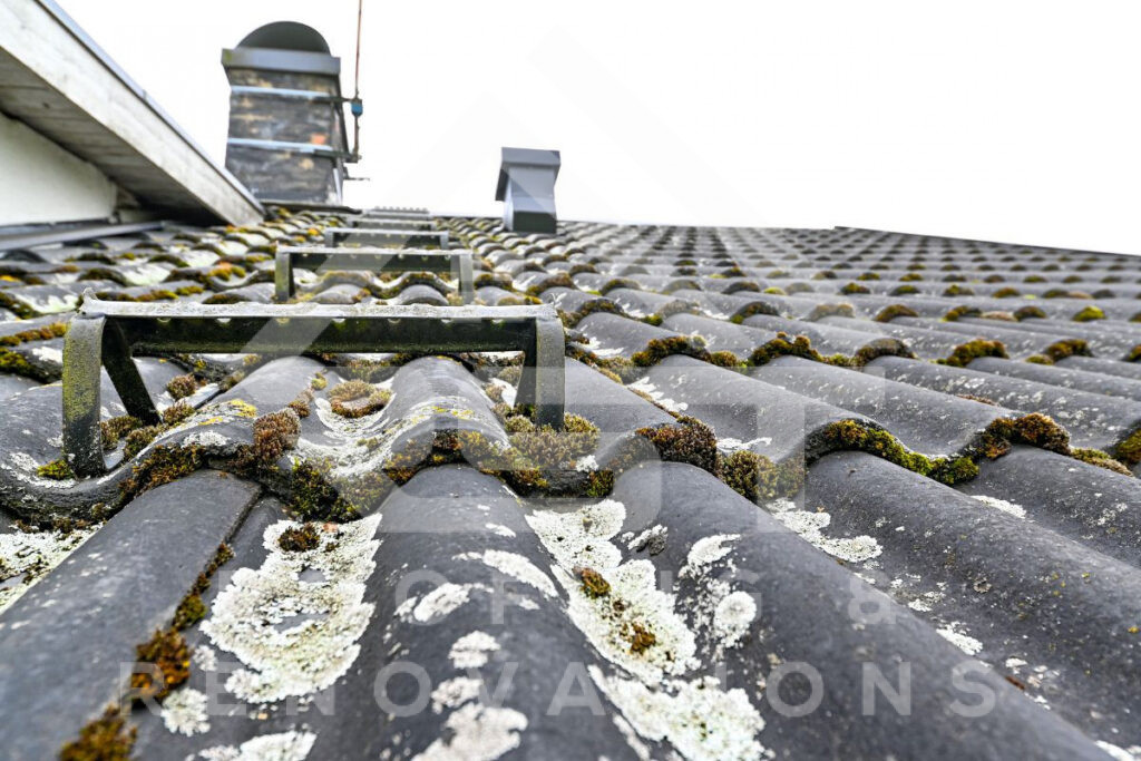 Lichen On Your Roof