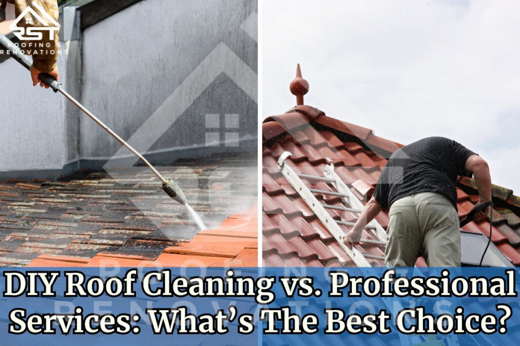Diy Roof Cleaning Vs Professional